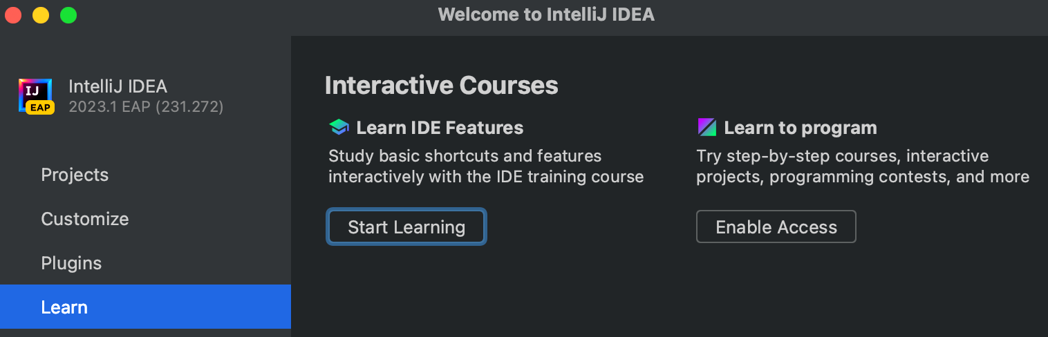 IntelliJ Interactive 课程